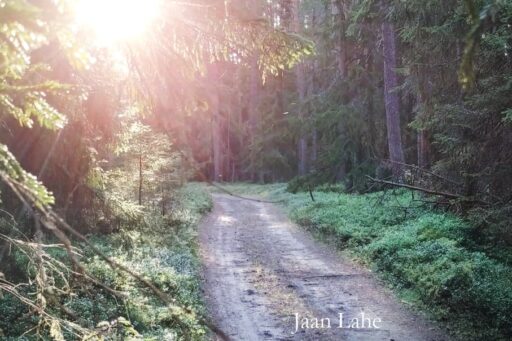 Prof Jaan Lahe Raamatuesitlus