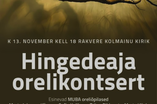 Hingedeaja orelikontsert    13. novembril kell 18.00
