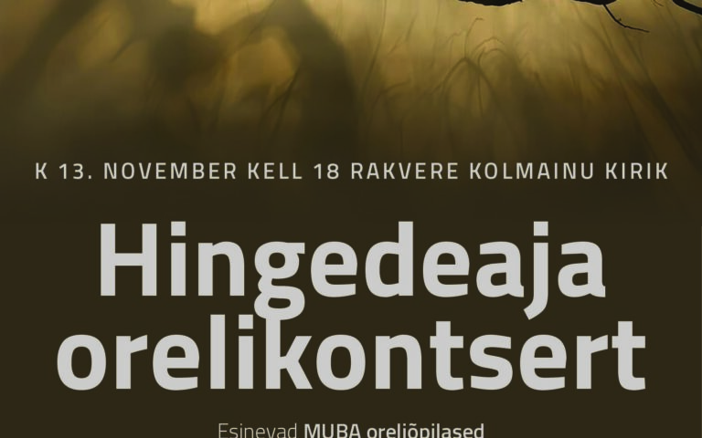 Hingedeaja orelikontsert    13. novembril kell 18.00